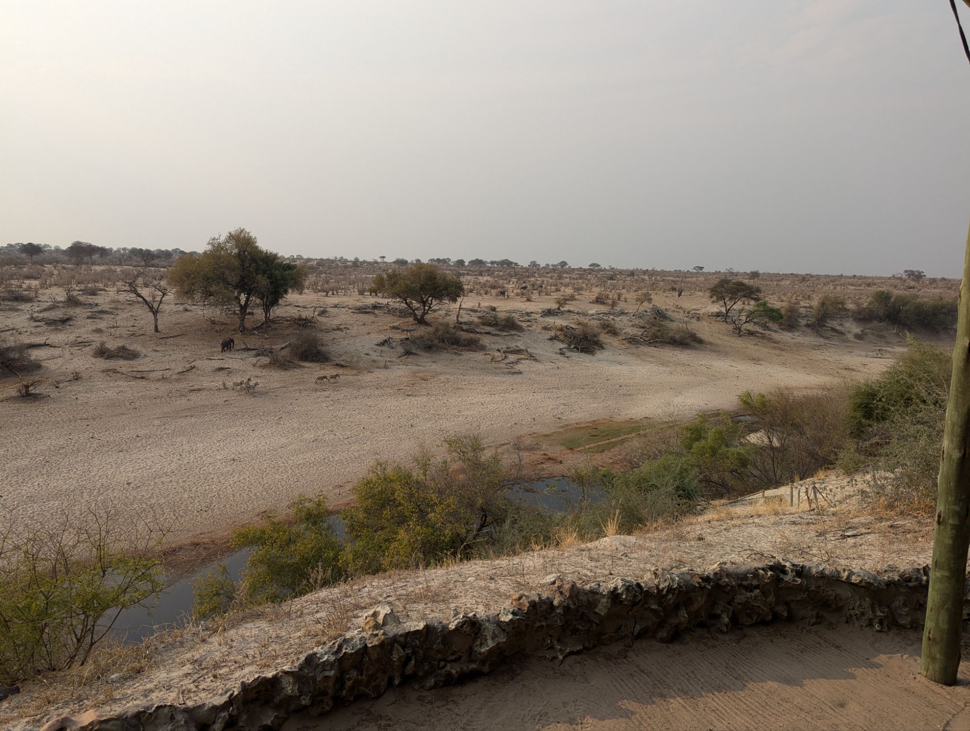 Thursday, September 19, 2024: Meghan and Harry