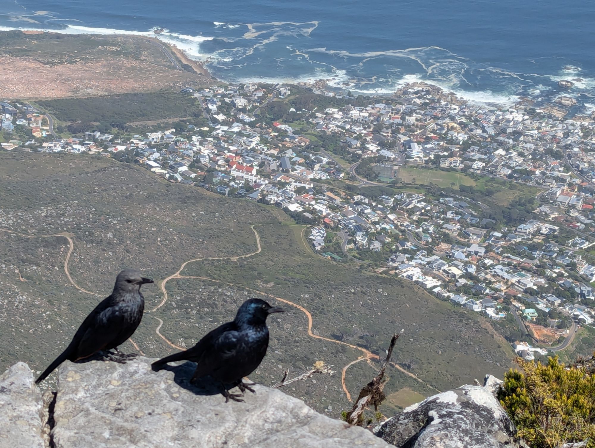 Tuesday, September 17, 2024: Table Mountain