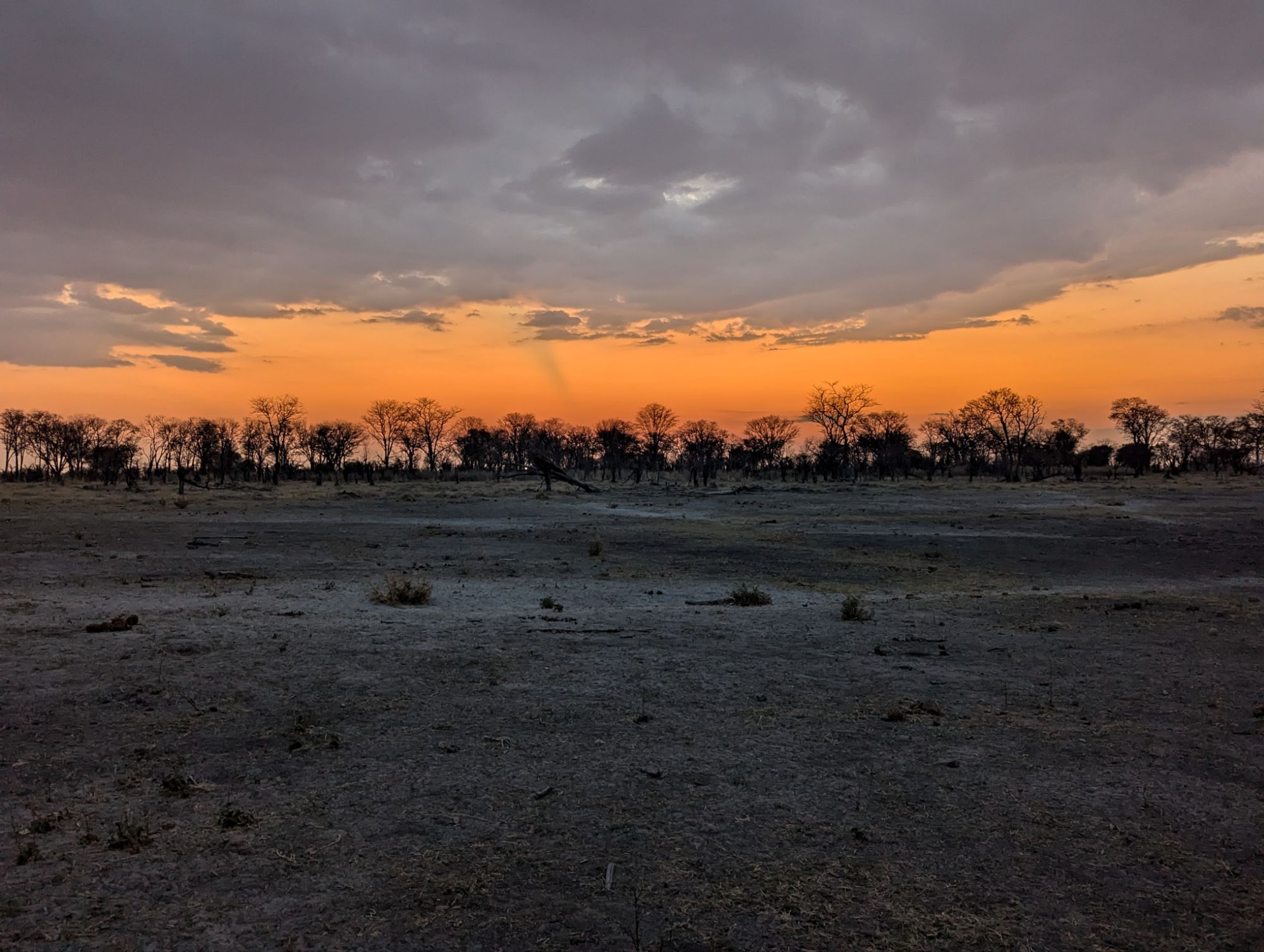 Thursday, September 26, 2024: Cheetahs, Hippos, and Baboons