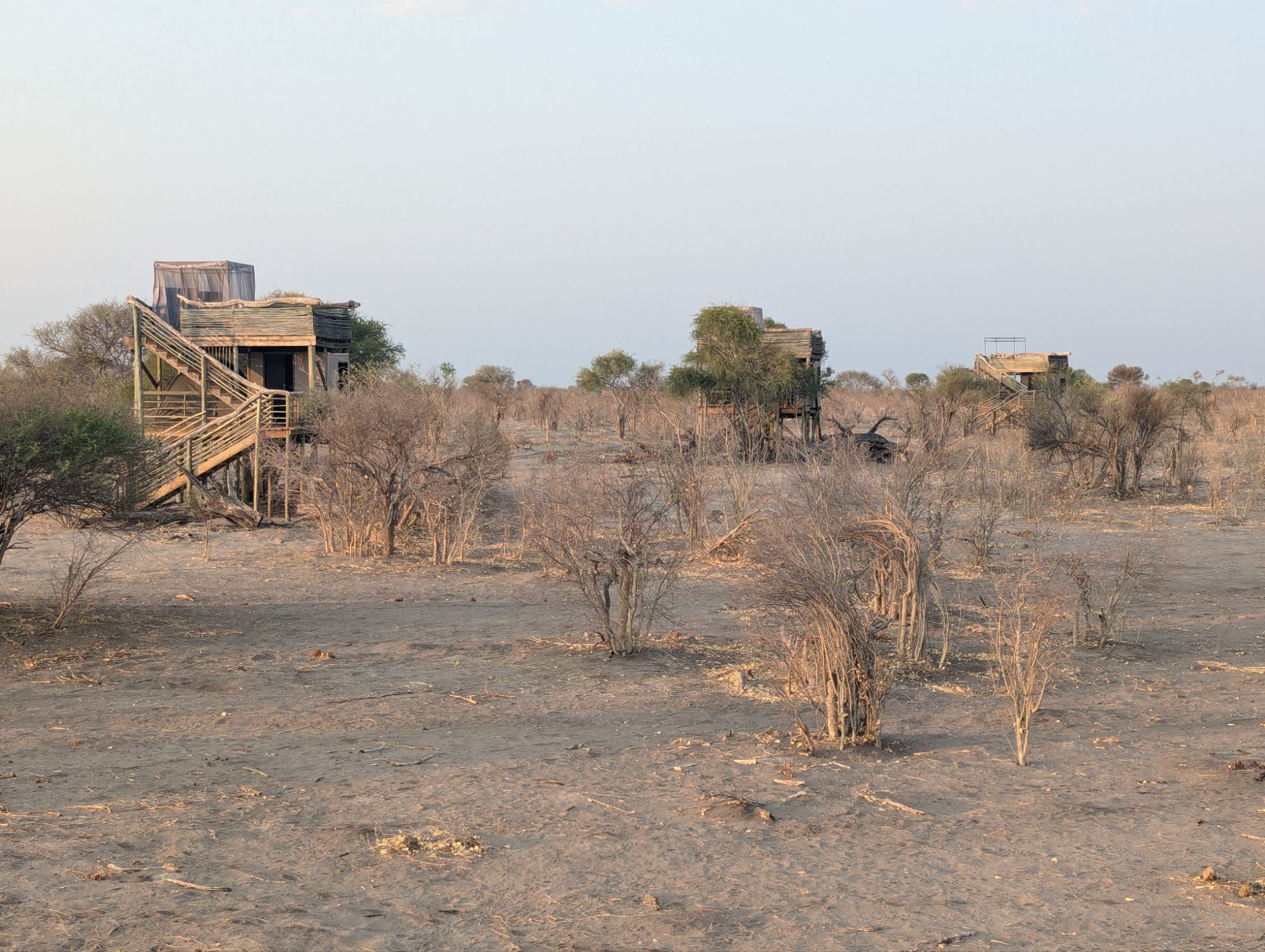 Saturday 28, 2024: Bush Walk with Zambo