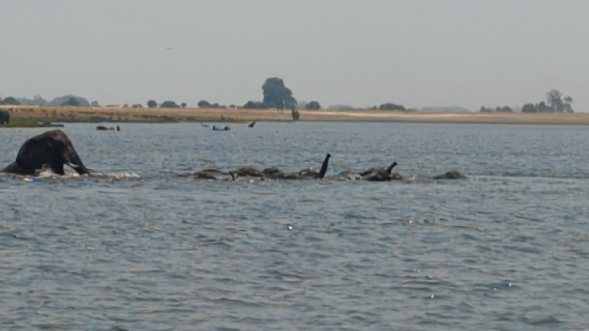 Sunday, September 29, 2024: Chobe Game Lodge