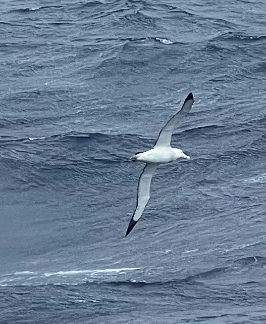 February 20, 2025 – Day 15 – Back to Civilization