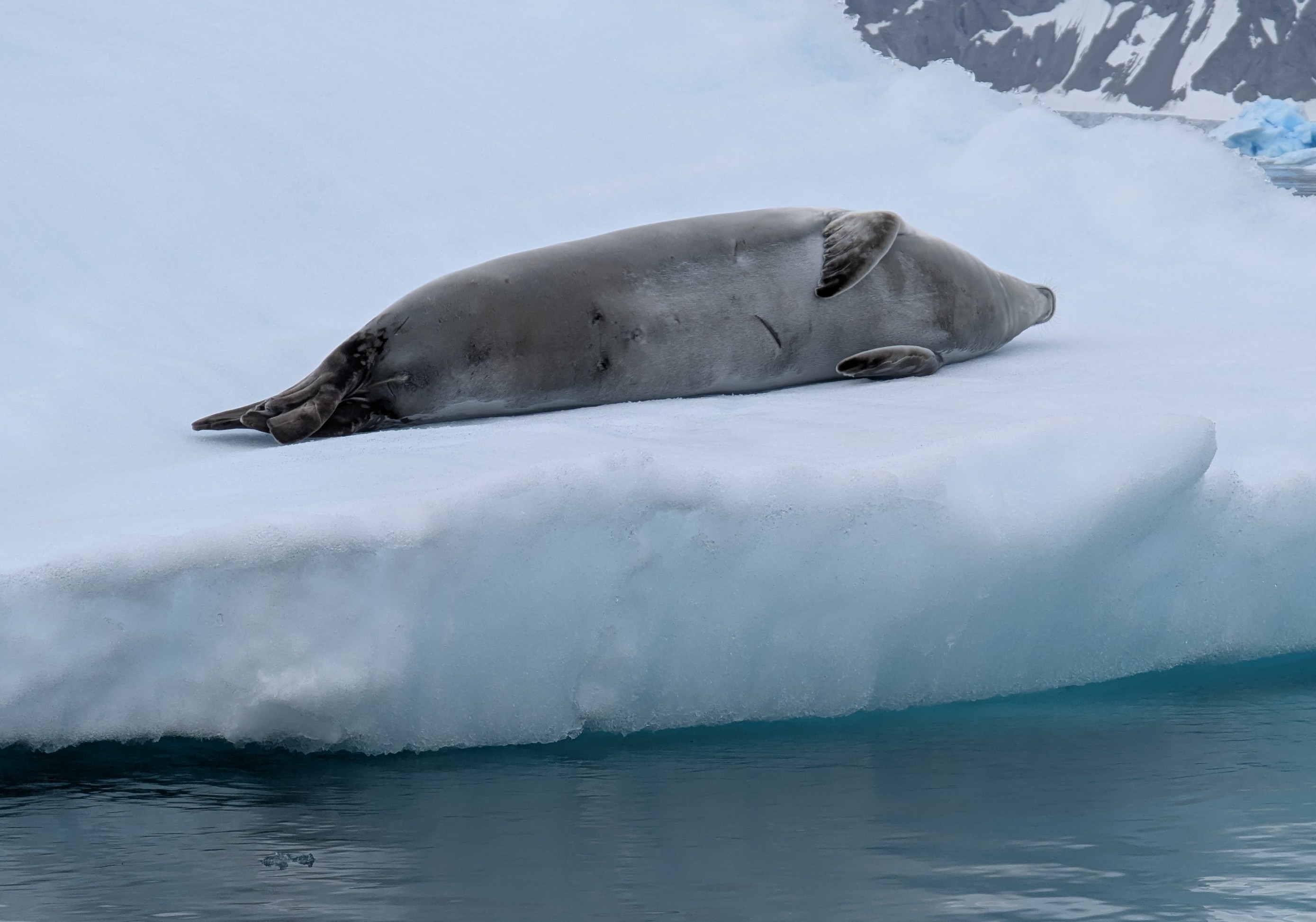 February 15, 2025 – Day 10 – Taking the Plunge