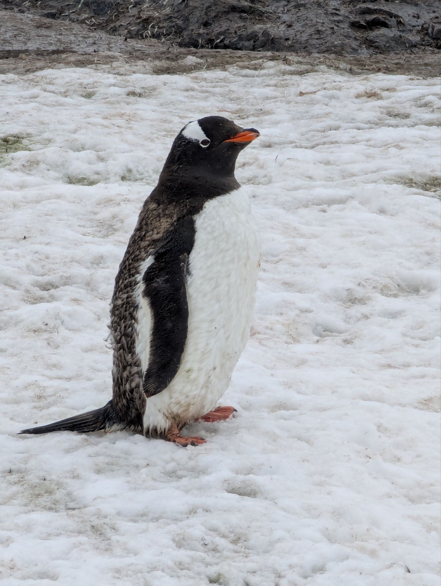 February 18, 2025 – Day 13 – The Circle of Life