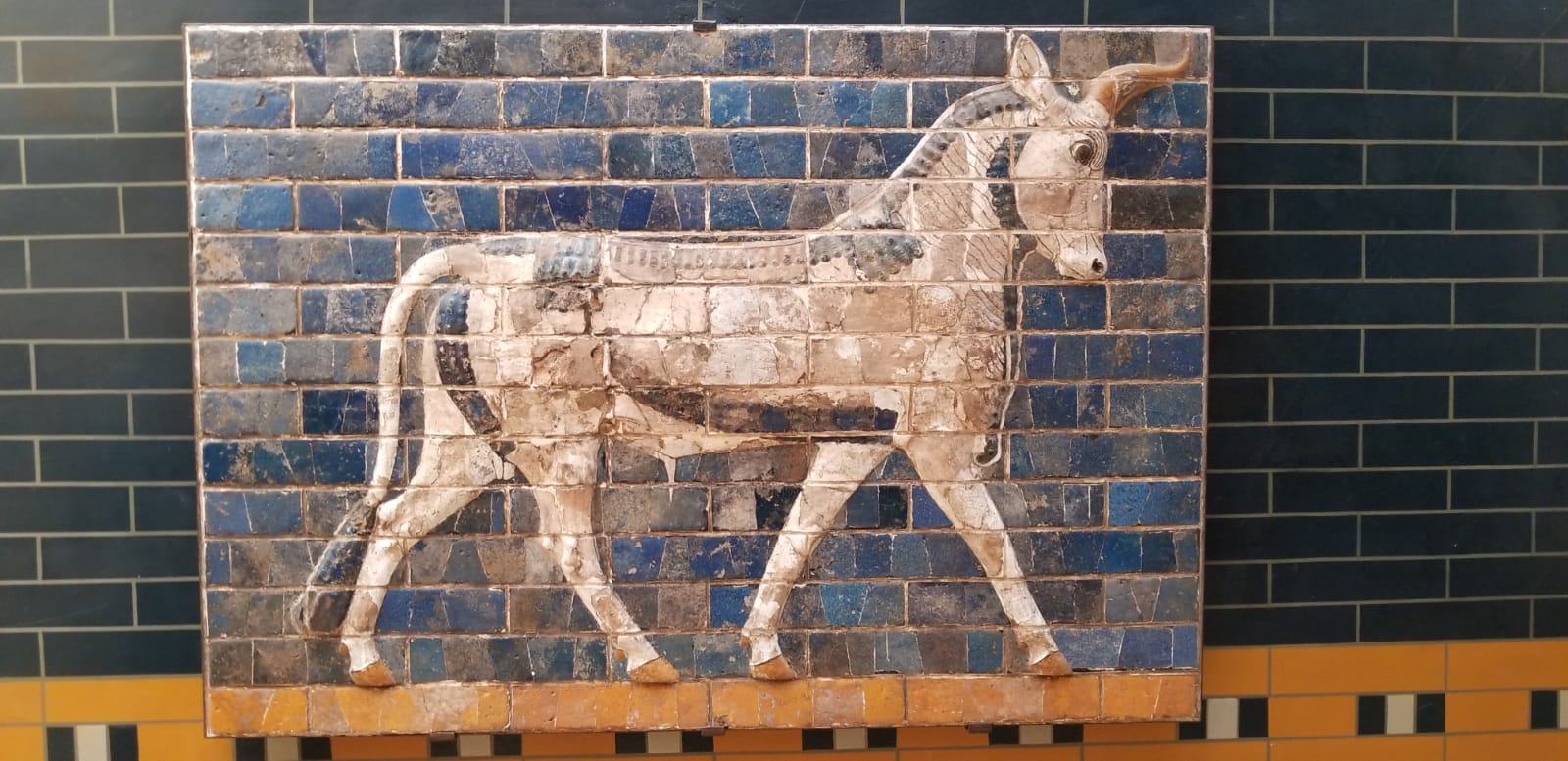 August 2, 2018 – Day 5 – Wandering