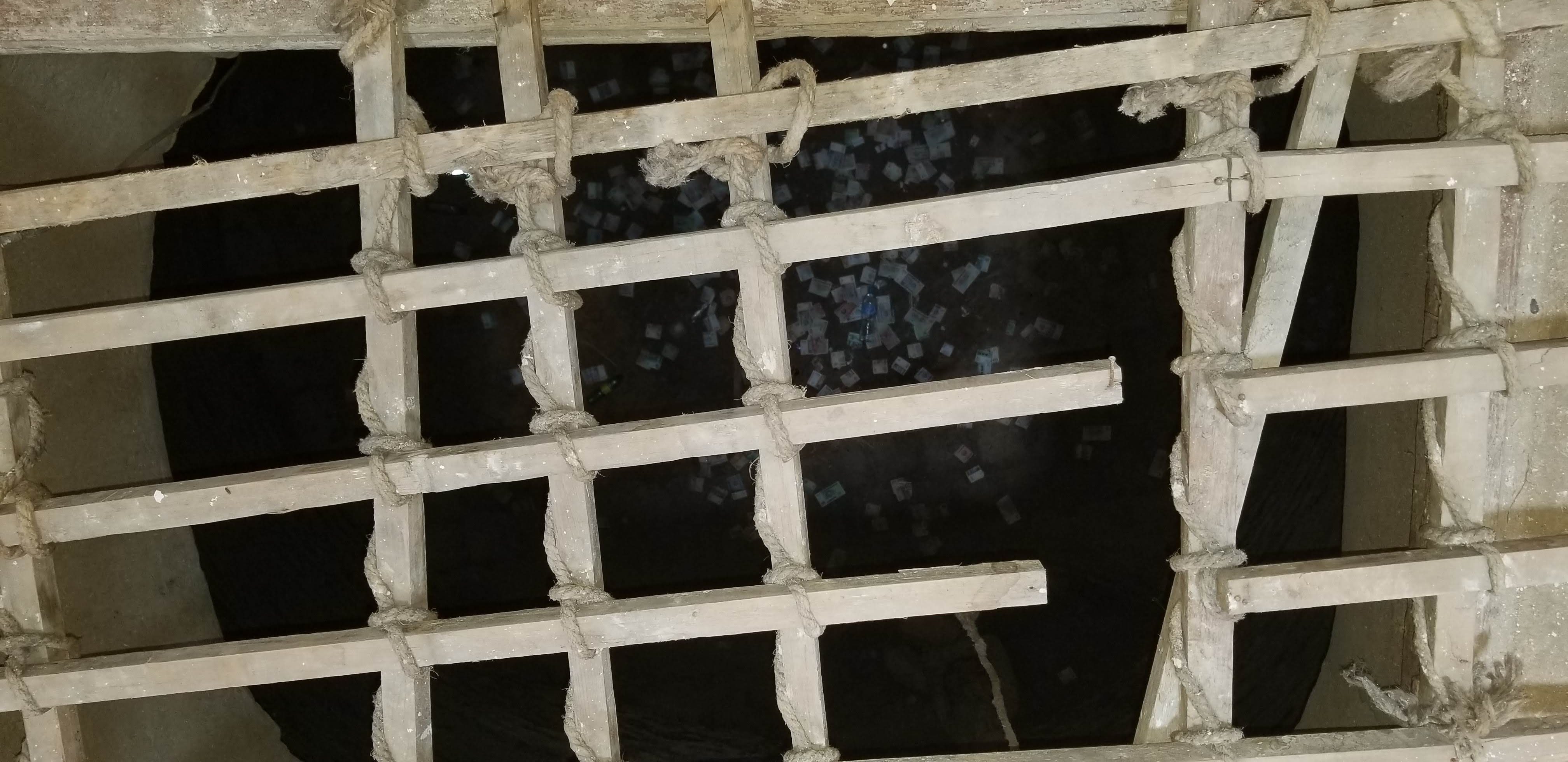 June 8, 2018 – Day 6 – The Bug Pit