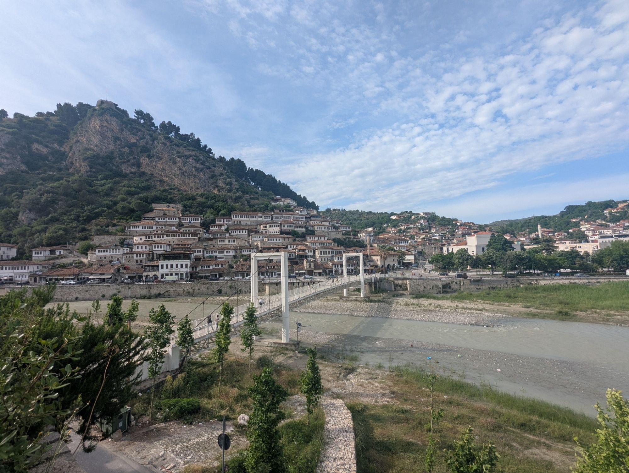 May 20, 2025: Bus or Bust