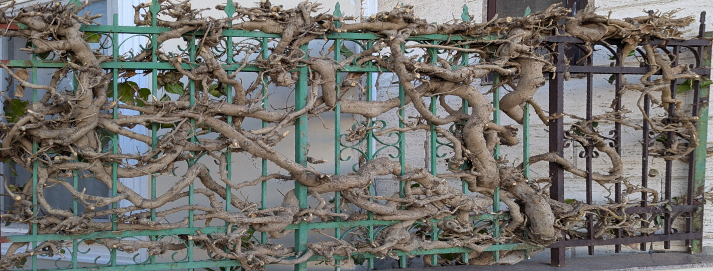 May 25, 2025: Sunday, Durrës