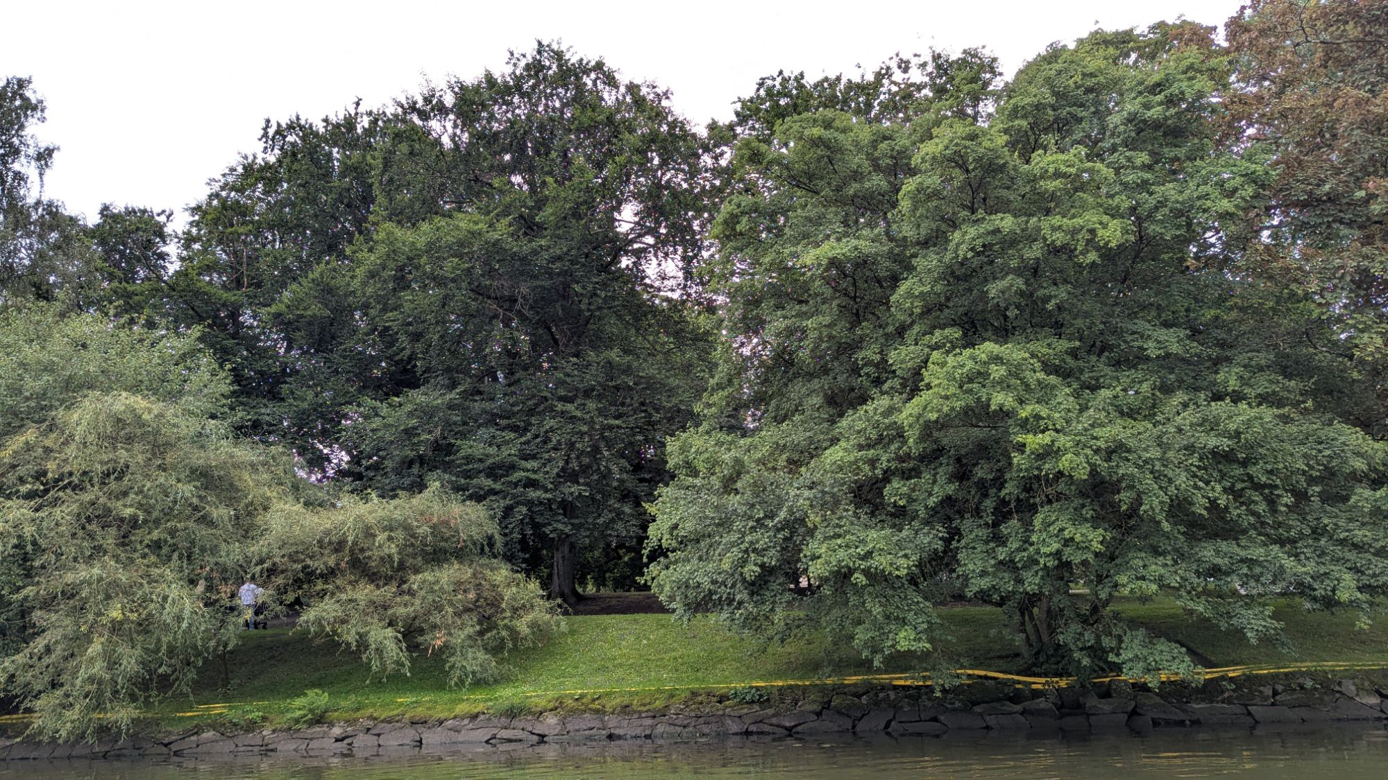 July 14, 2025: Elisabeth