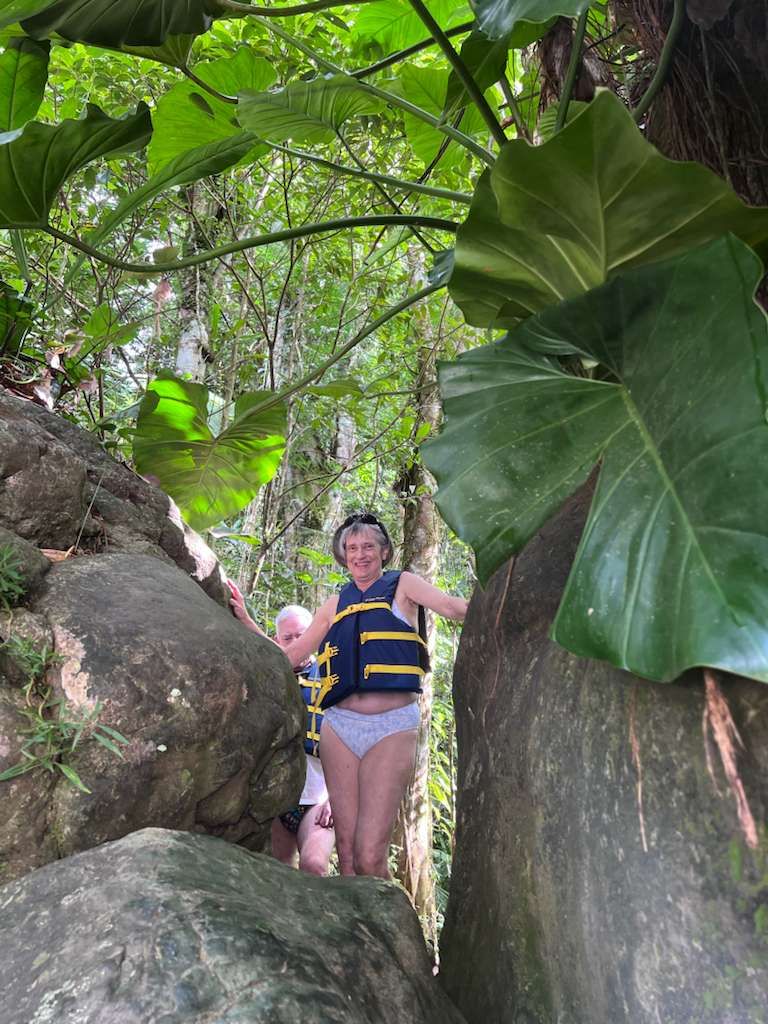 January 28, 2026: El Yunque Rainforest