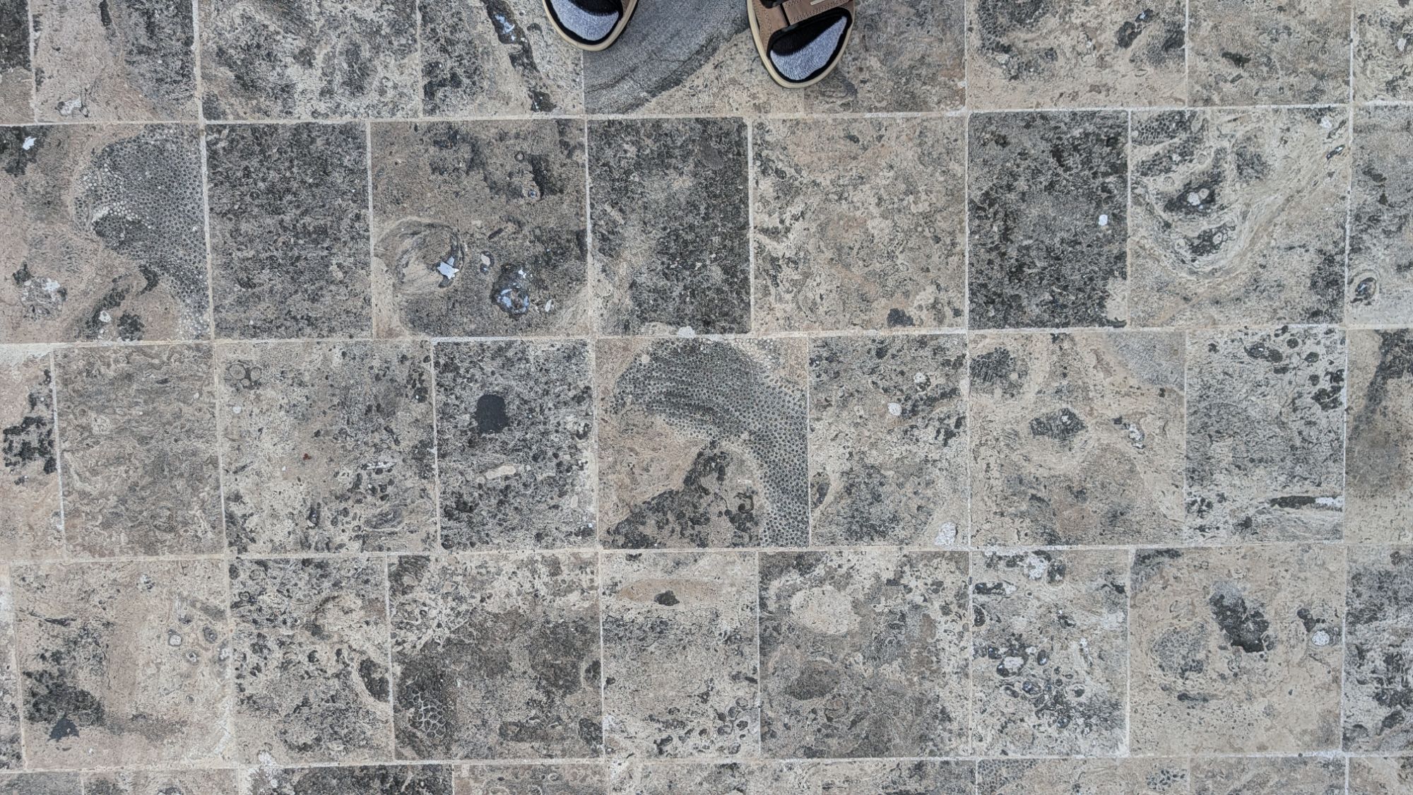 January 30, 2026: New World of Firsts