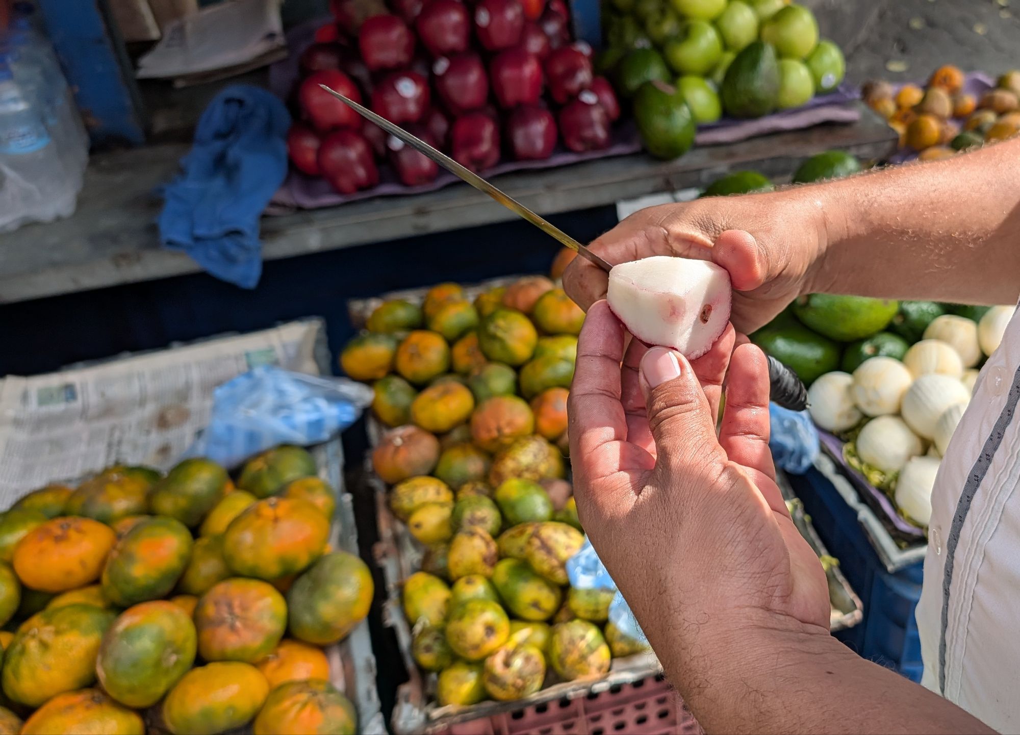 January 31, 2026: Dominican Food Tour