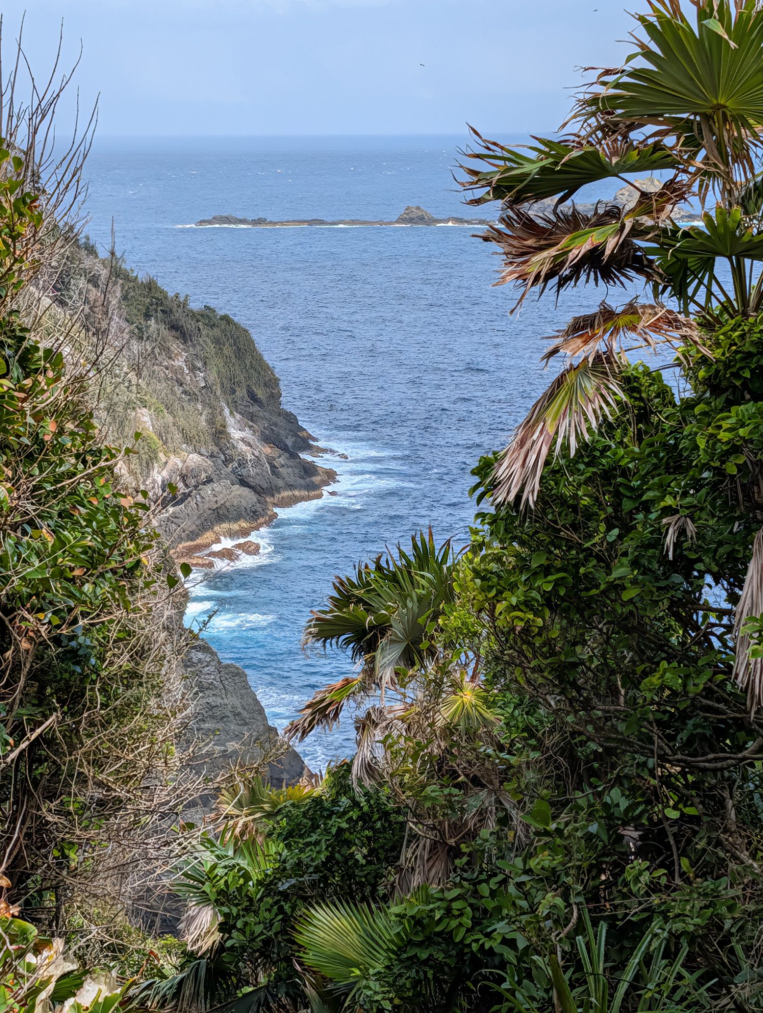 February 9, 2026: Trinidad and Tobago